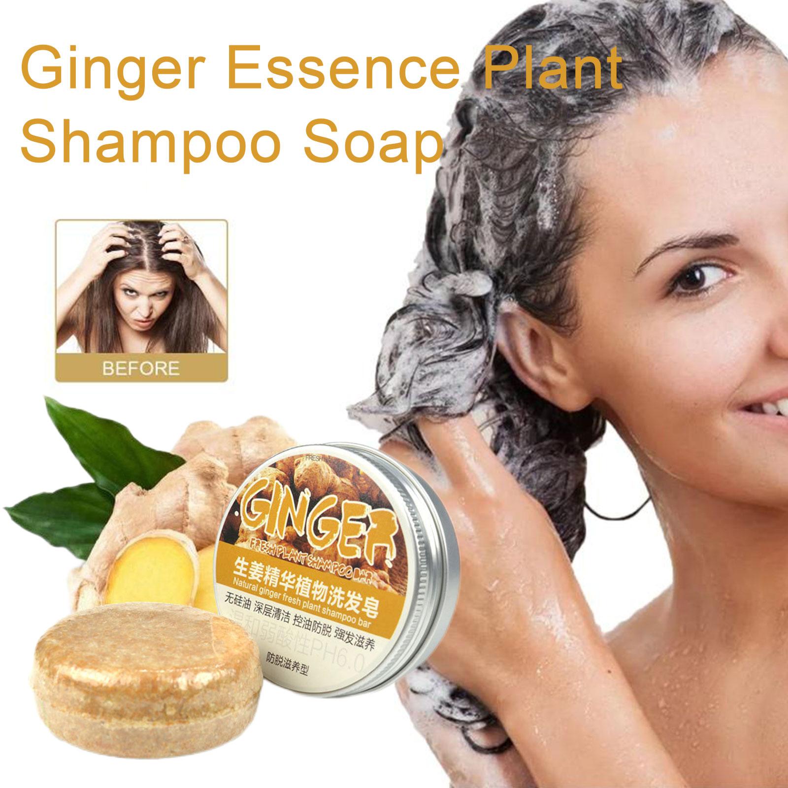 Ginger Polygonum Soap Shampoo  - Castor Oil Soap ulasan dan harga